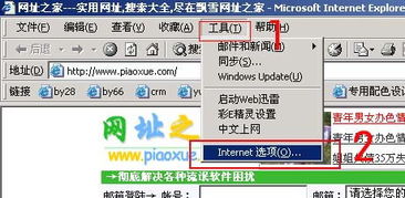 如何通過代理方式瀏覽網站 資深網站服務商的全面指導
